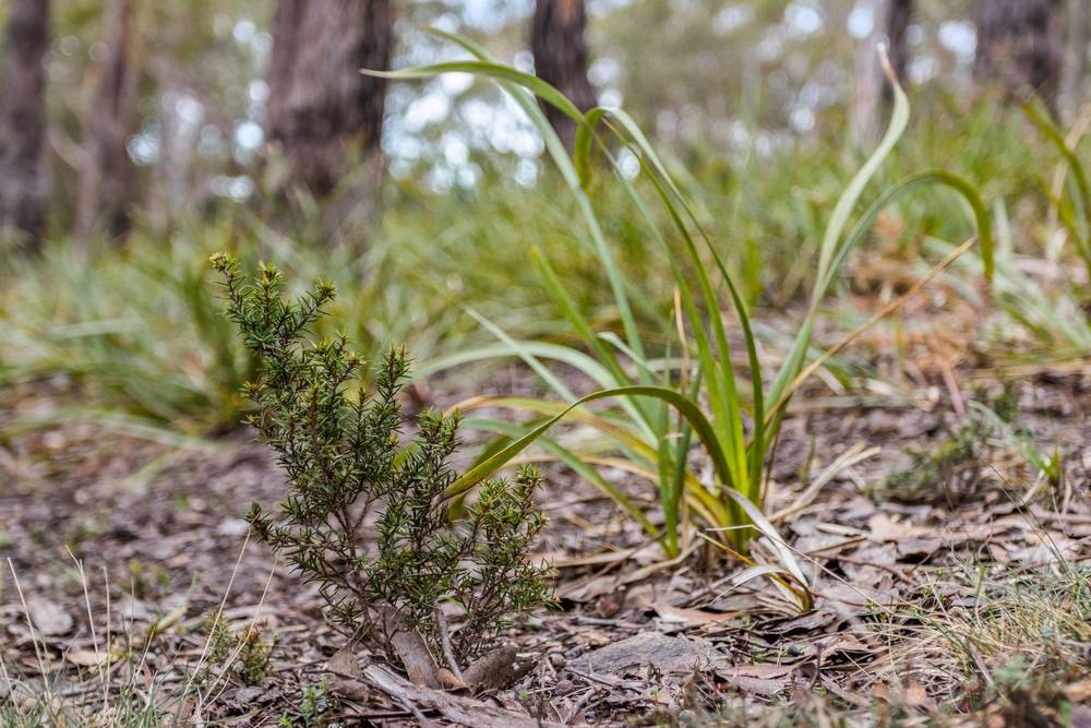 90 Hackford Drive, Kingston, TAS 7050