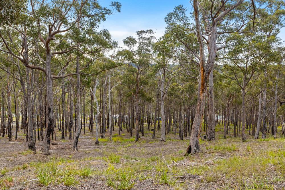 90 Hackford Drive, Kingston, TAS 7050