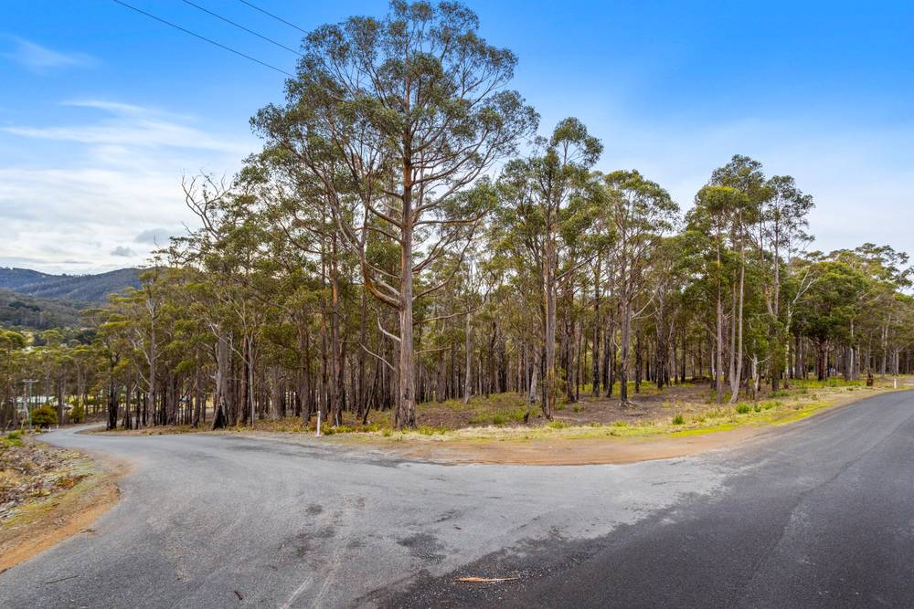 90 Hackford Drive, Kingston, TAS 7050