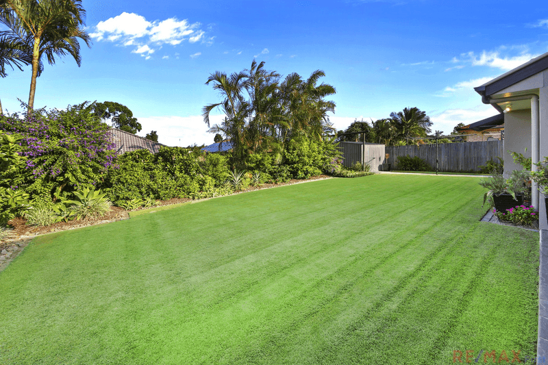 4 Tigerlily Court, Little Mountain, QLD 4551