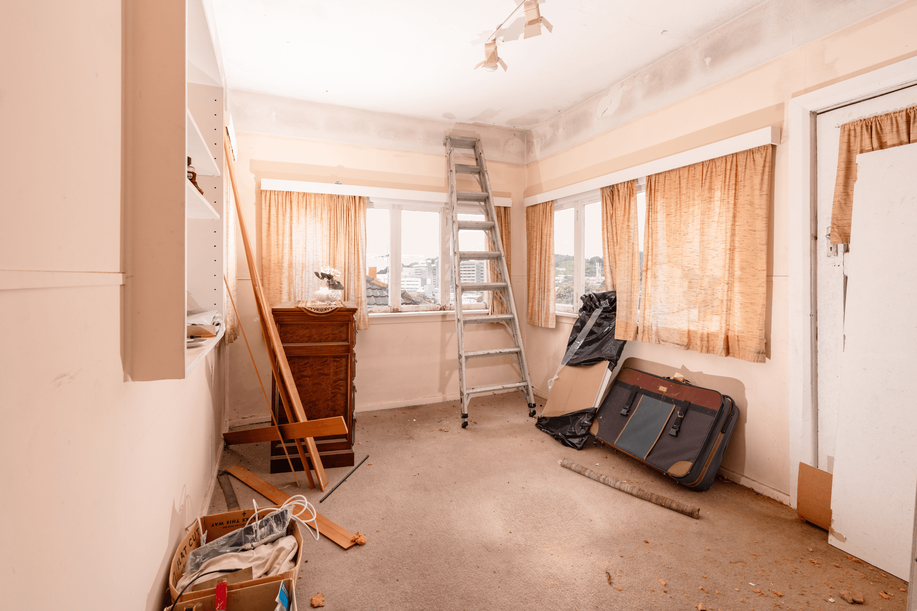 323 Adelaide Road, Newtown, Wellington 6021