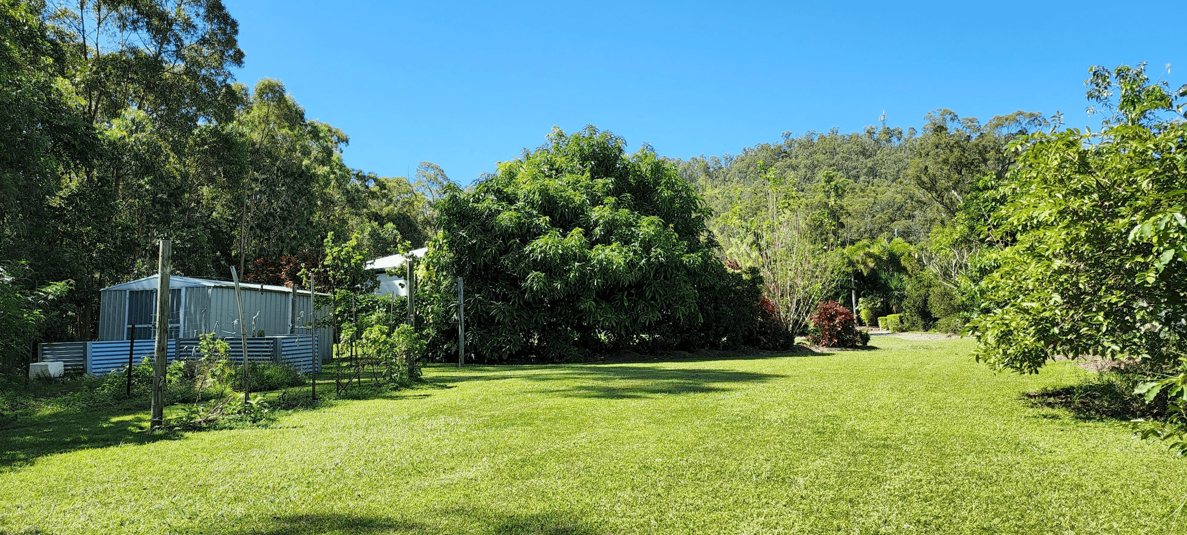 9 Grass Tree Court, Ellerbeck, QLD 4816