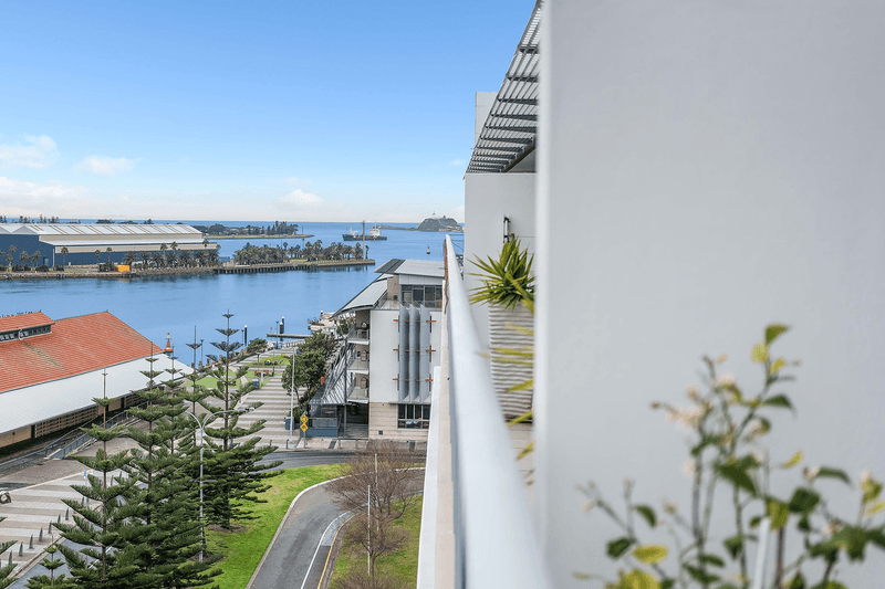 703/4 Honeysuckle Drive, Newcastle, NSW 2300