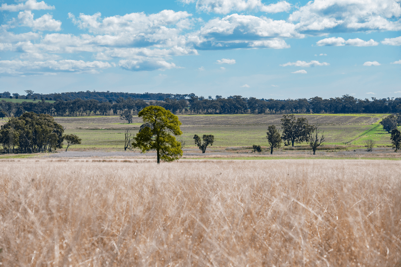 1896 Boxridge Road, PURLEWAUGH, NSW 2357