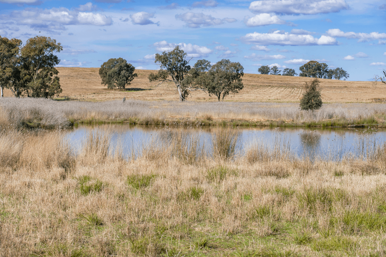 1896 Boxridge Road, PURLEWAUGH, NSW 2357