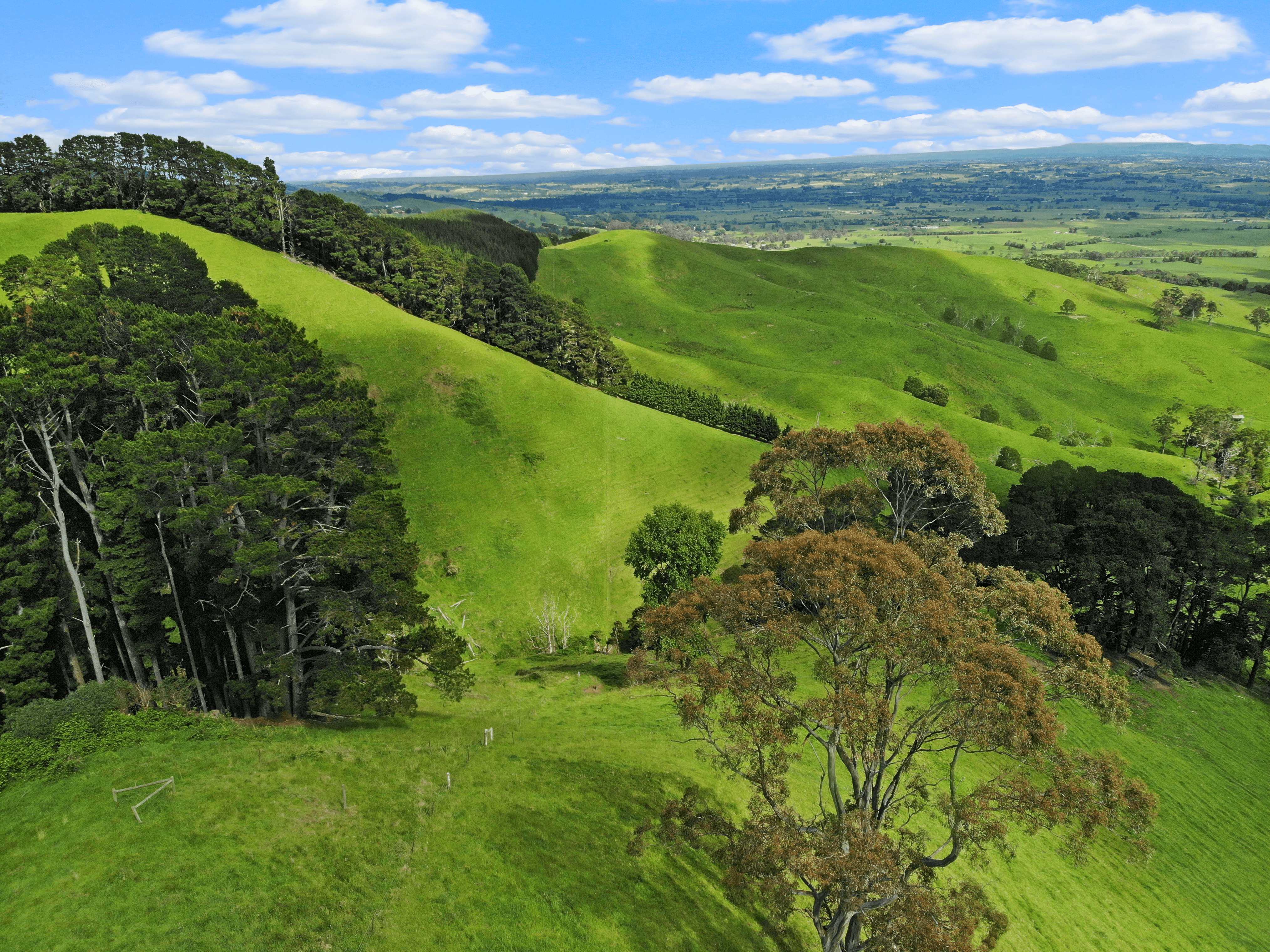 Lot 1 Yarragon Leongatha Road, YARRAGON, VIC 3823