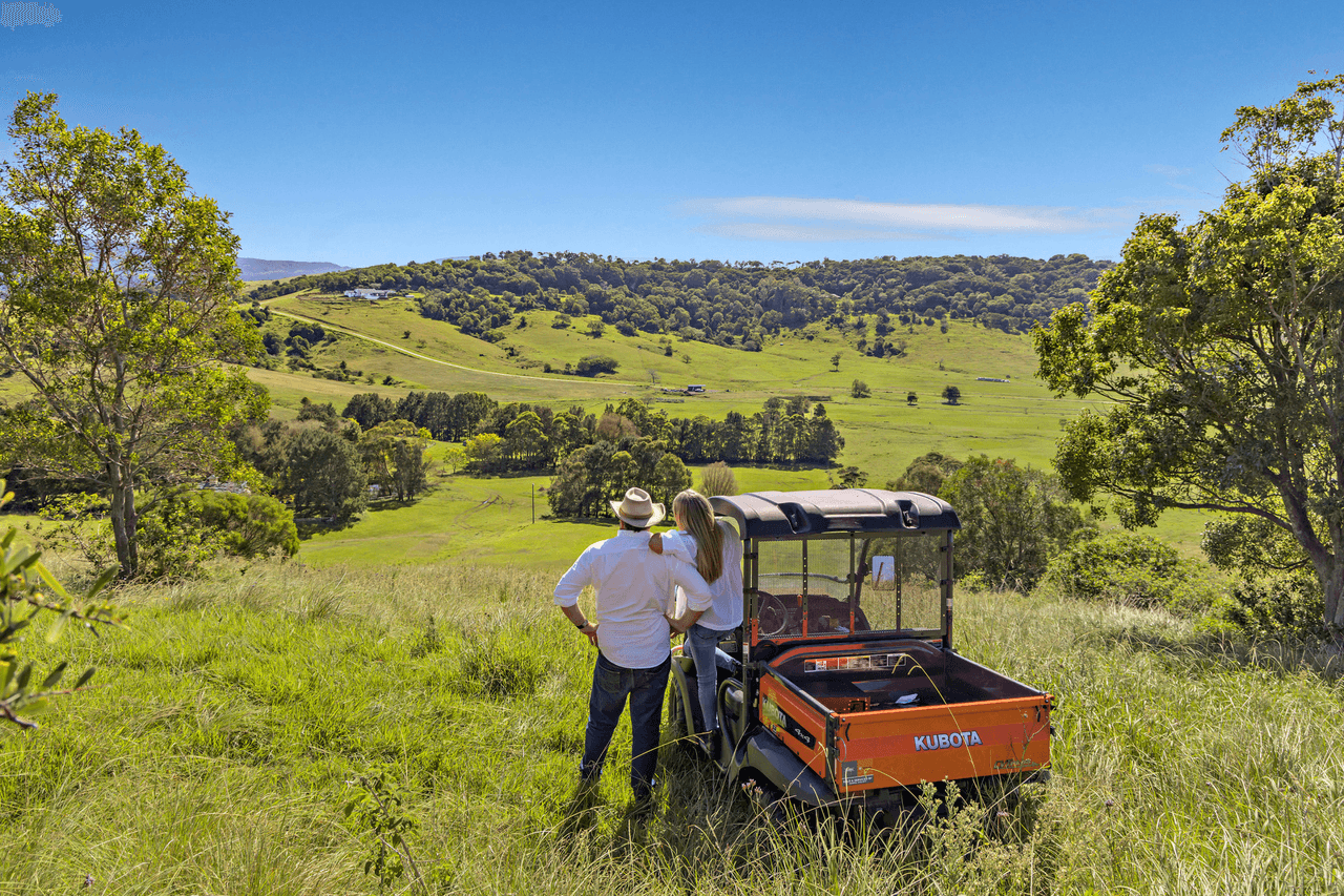 250 Toolijooa Road, Toolijooa, NSW 2534