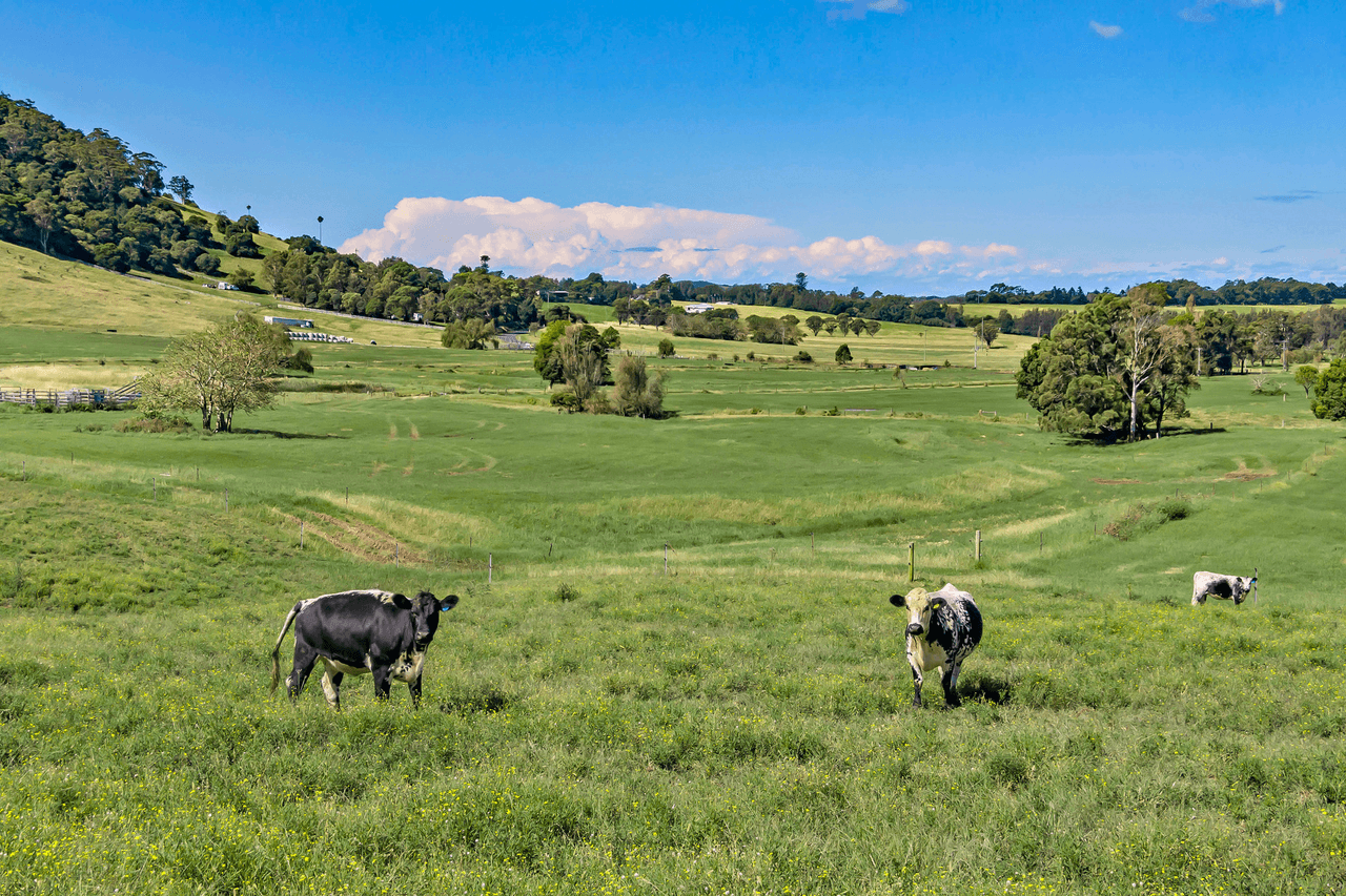 250 Toolijooa Road, Toolijooa, NSW 2534