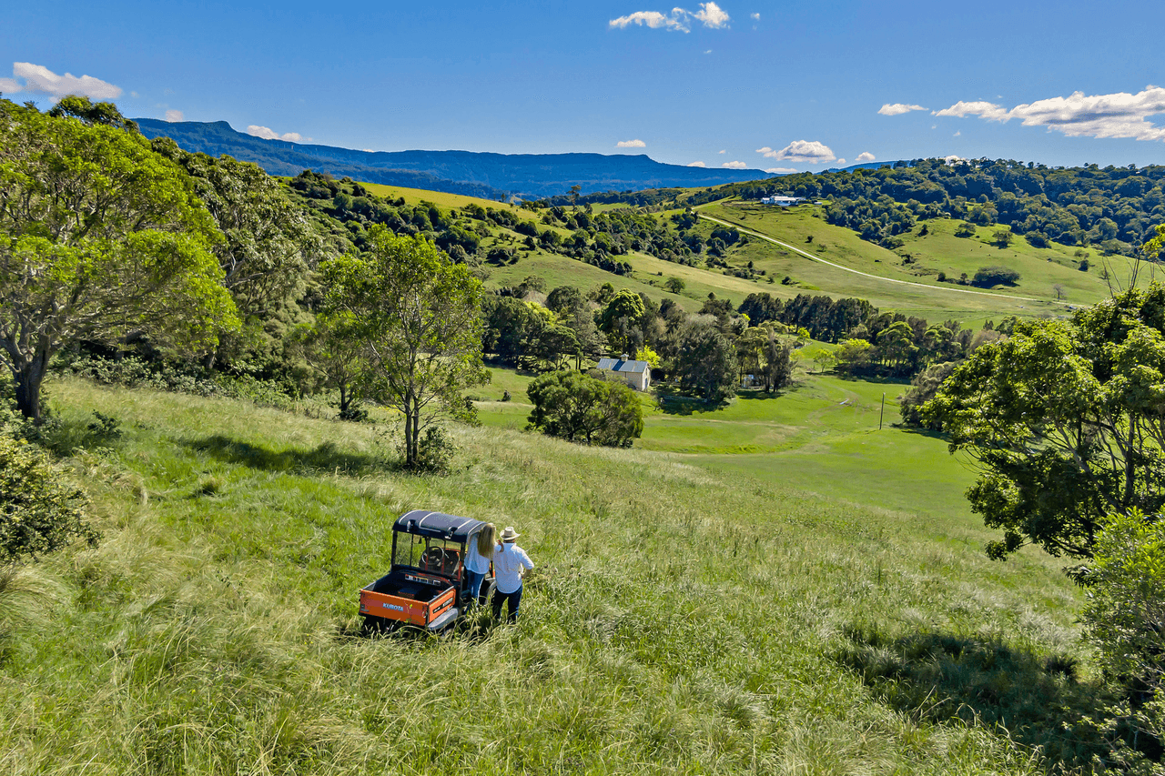 250 Toolijooa Road, Toolijooa, NSW 2534