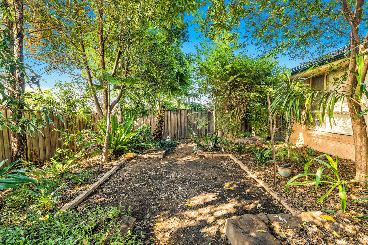 147 Holdsworth Drive, MOUNT ANNAN, NSW 2567