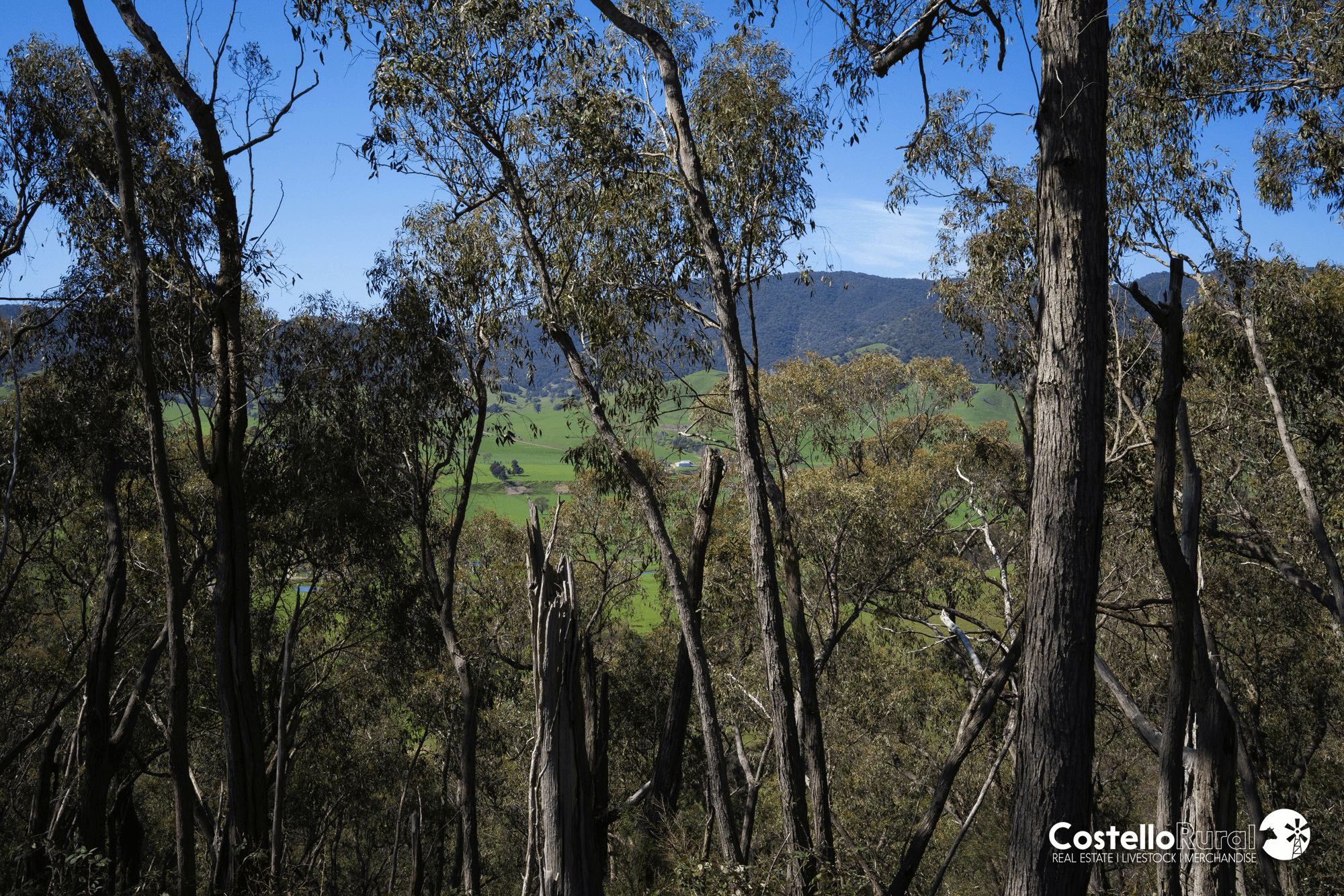 Lot 3/818 Upper Murray Rd, Towong Upper, VIC 3707