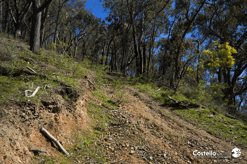 Lot 3/818 Upper Murray Rd, Towong Upper, VIC 3707