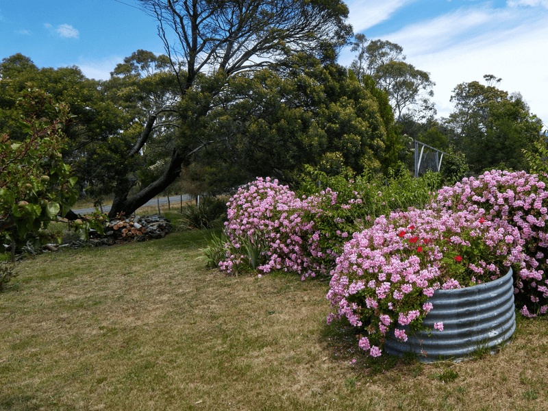 16 Cathcart Street, SWANSEA, TAS 7190