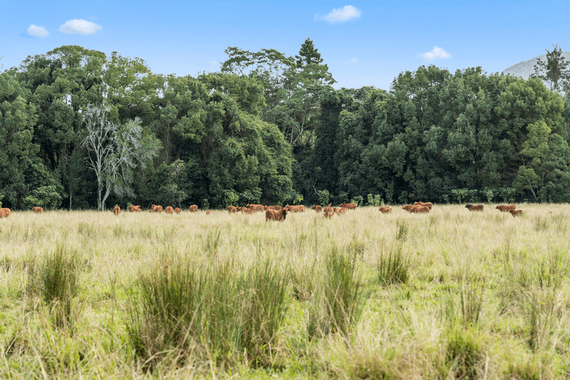 1 Natures Close, CURRUMBIN VALLEY, QLD 4223