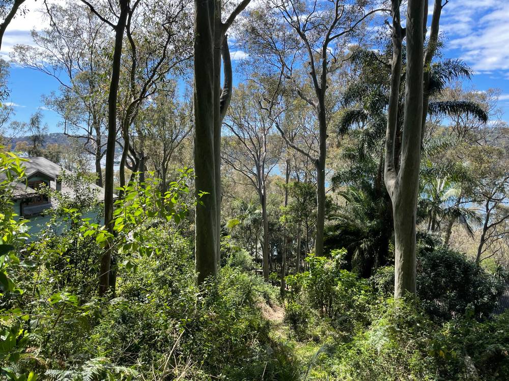 56 FLORENCE TERRACE, SCOTLAND ISLAND, NSW 2105