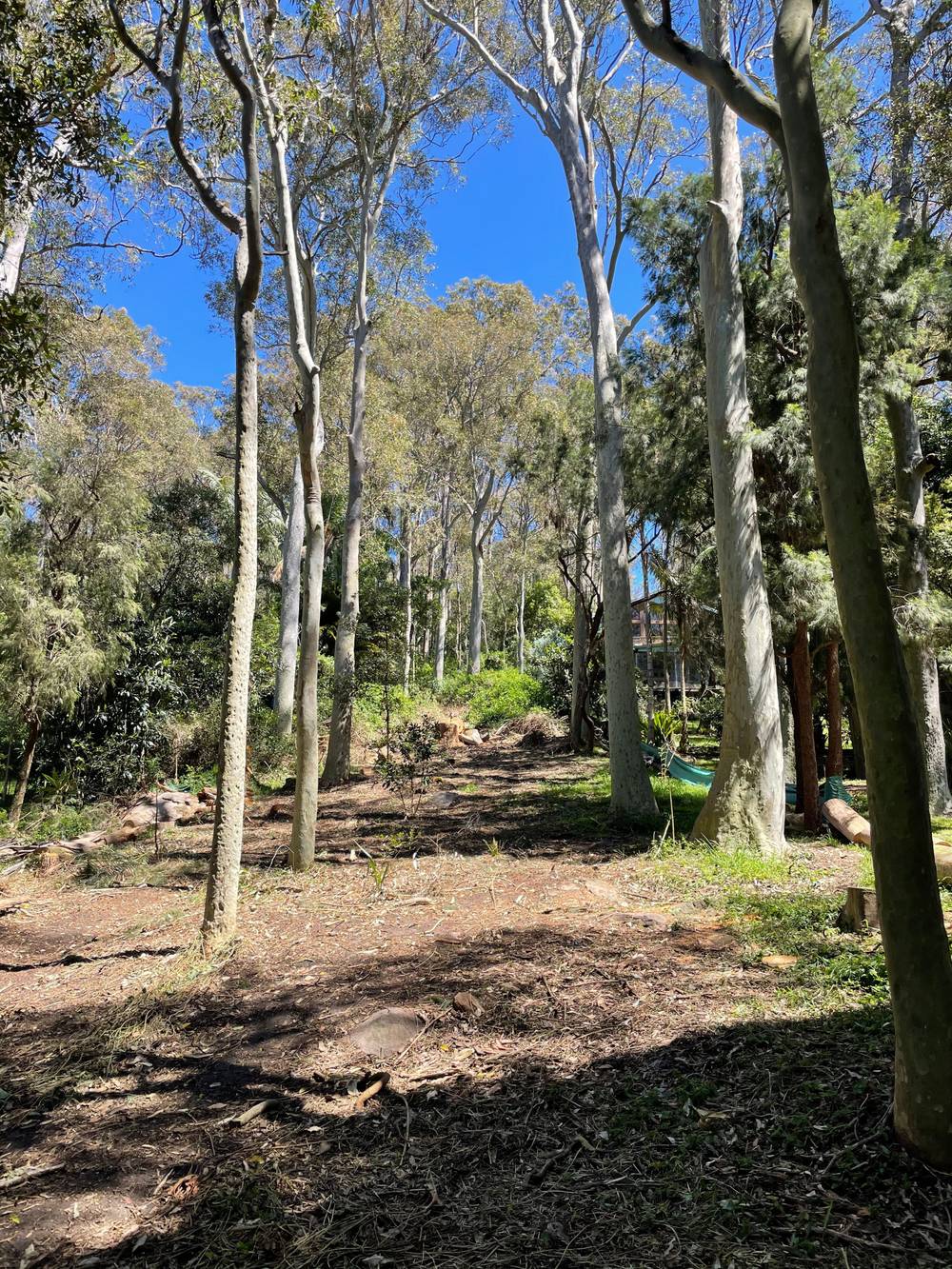 56 FLORENCE TERRACE, SCOTLAND ISLAND, NSW 2105