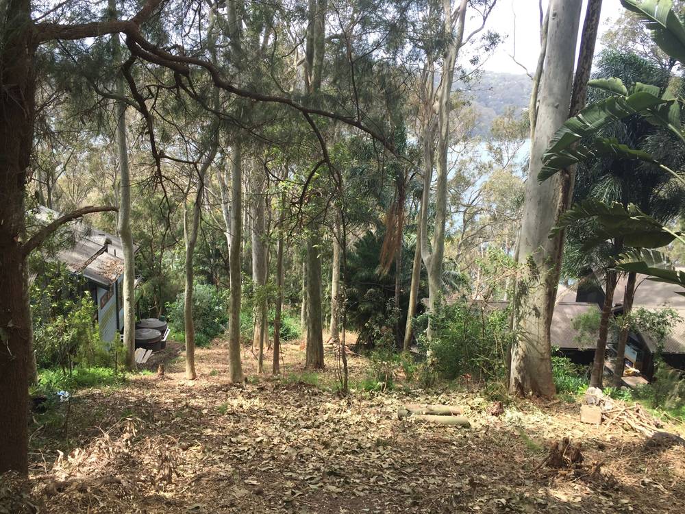 56 FLORENCE TERRACE, SCOTLAND ISLAND, NSW 2105