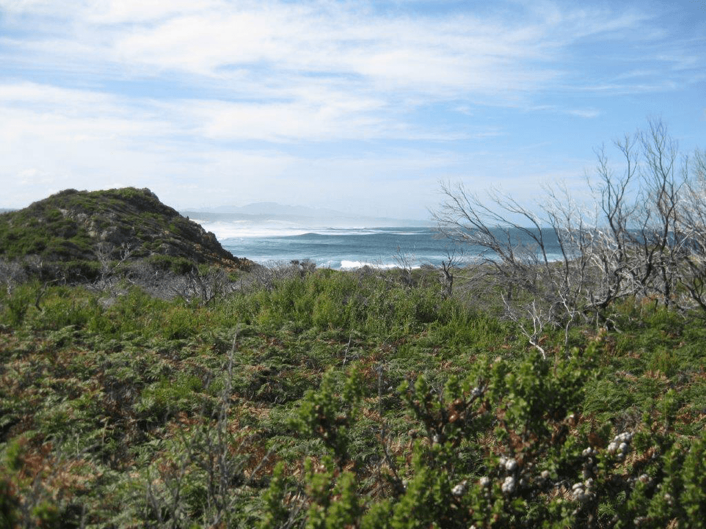 . Top Farm Track, GRANVILLE HARBOUR, TAS 7469