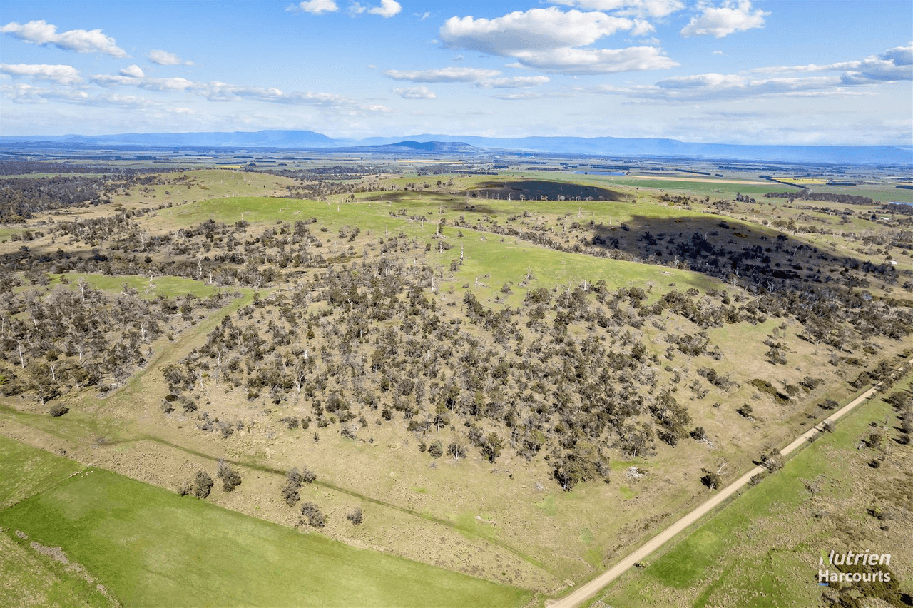 411 Bryants Lane, DEDDINGTON, TAS 7212