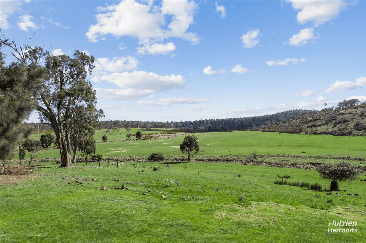 411 Bryants Lane, DEDDINGTON, TAS 7212