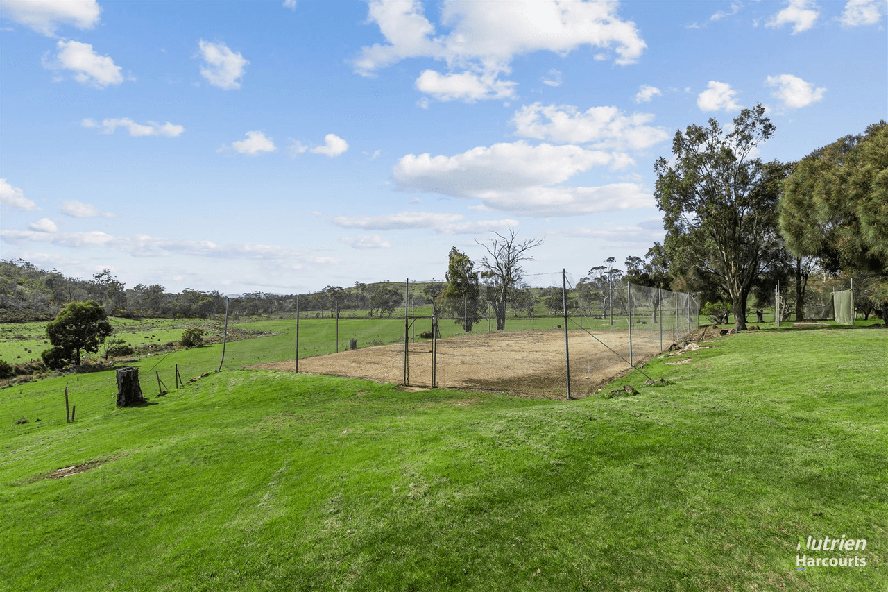 411 Bryants Lane, DEDDINGTON, TAS 7212