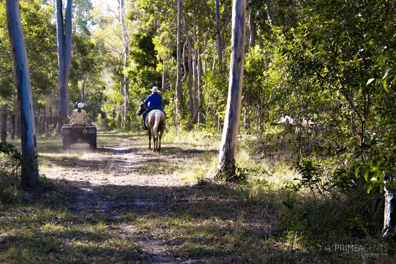 River Heads Road, Booral, QLD 4655