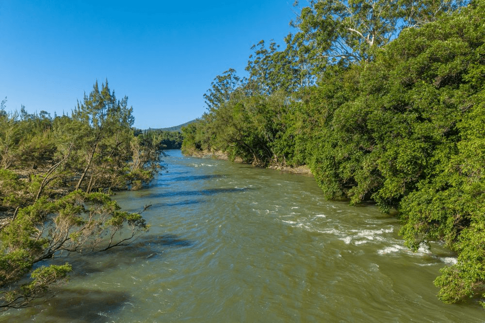 1052 Pipeclay Road, PIPECLAY, NSW 2446