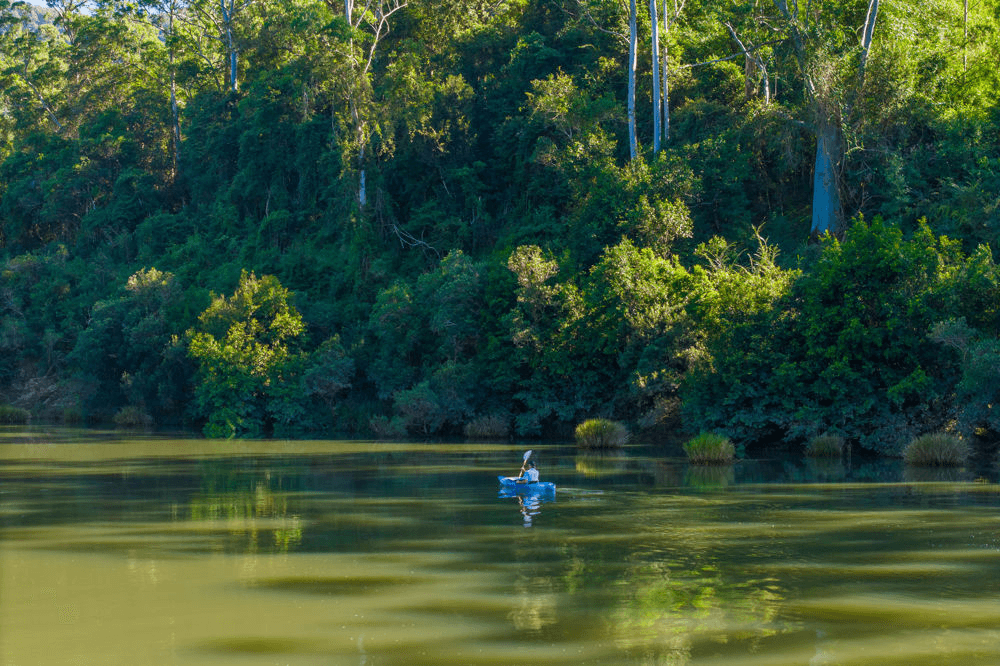 1052 Pipeclay Road, PIPECLAY, NSW 2446