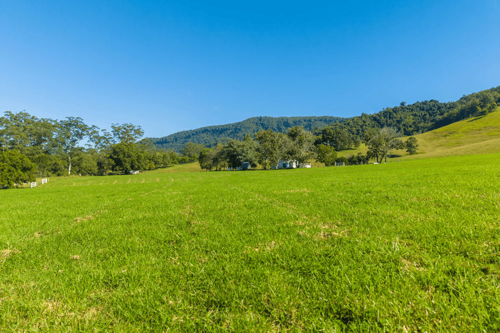 1052 Pipeclay Road, PIPECLAY, NSW 2446