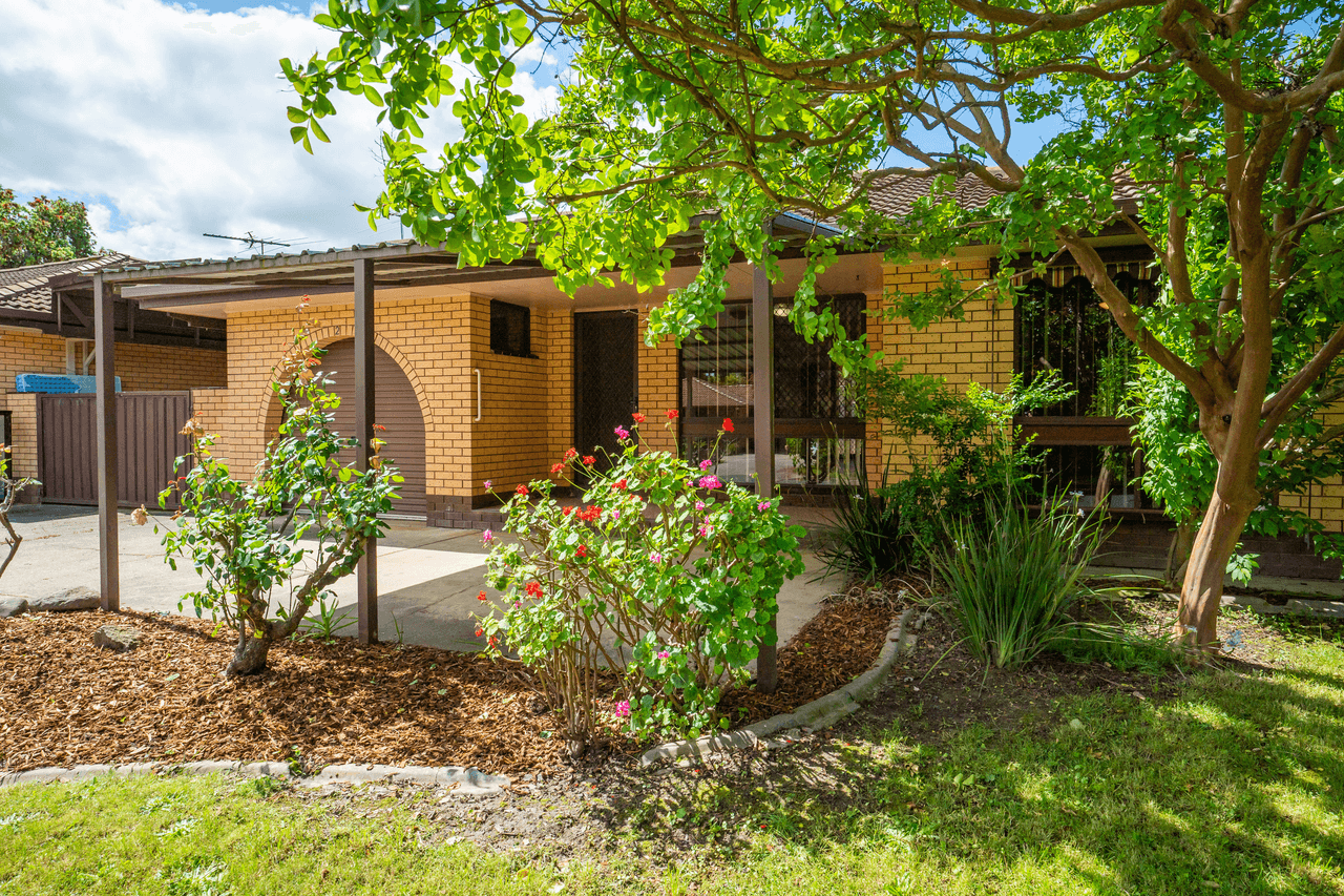 2/2 Rachel Court, LAVINGTON, NSW 2641