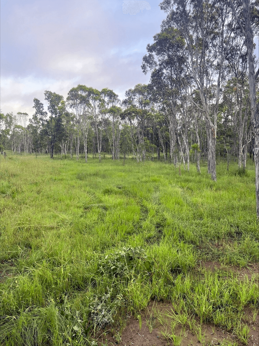 Lot 22 Peninsula Developmental Rd., Lakeland, QLD 4871