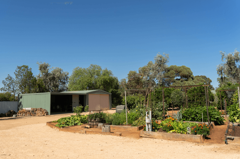 12 Hunt Drive, Robinvale, VIC 3549