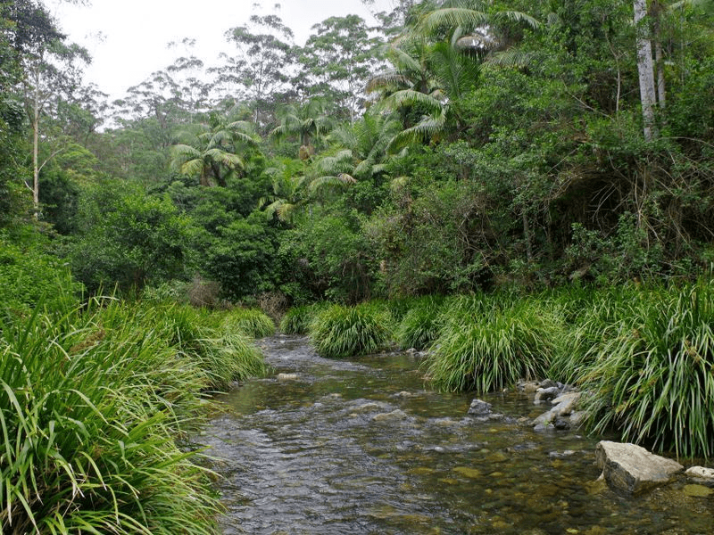 802 Dairyville Road, UPPER ORARA, NSW 2450