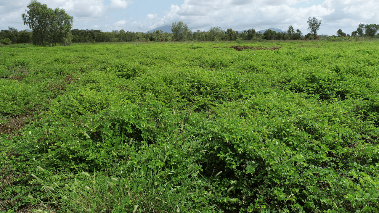 Lot 9  BOWEN DEVELOPMENTAL Road, BOWEN, QLD 4805