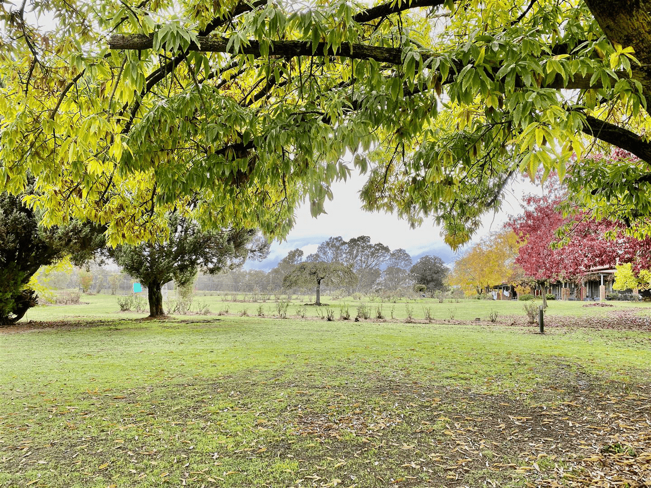 18 Connellys Creek Road, ACHERON, VIC 3714