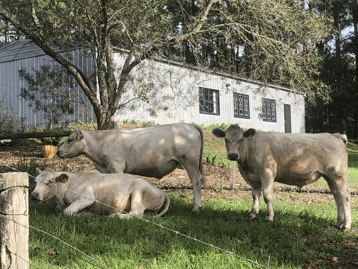 611 Kyola Road, Kulnura, NSW 2250