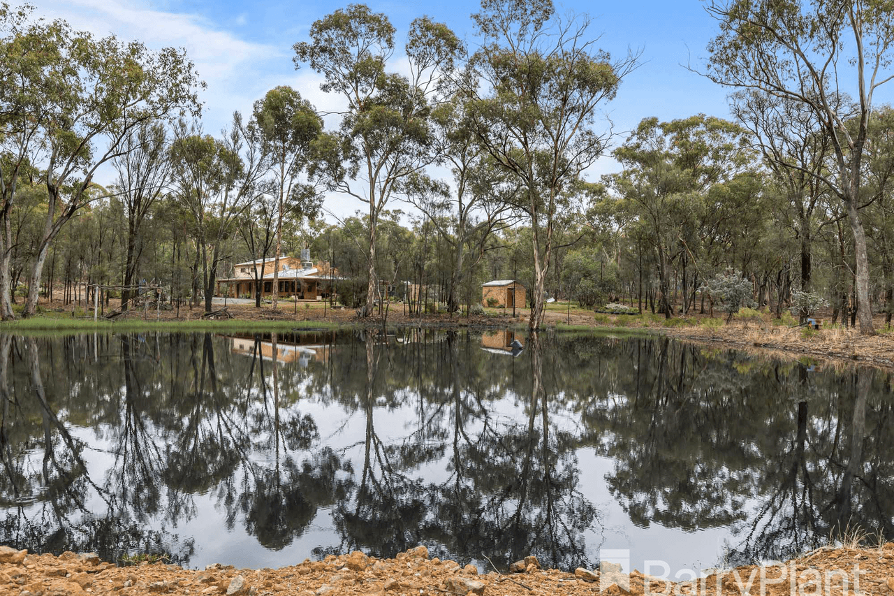 102 Bealiba South Road, Dunluce, VIC 3472