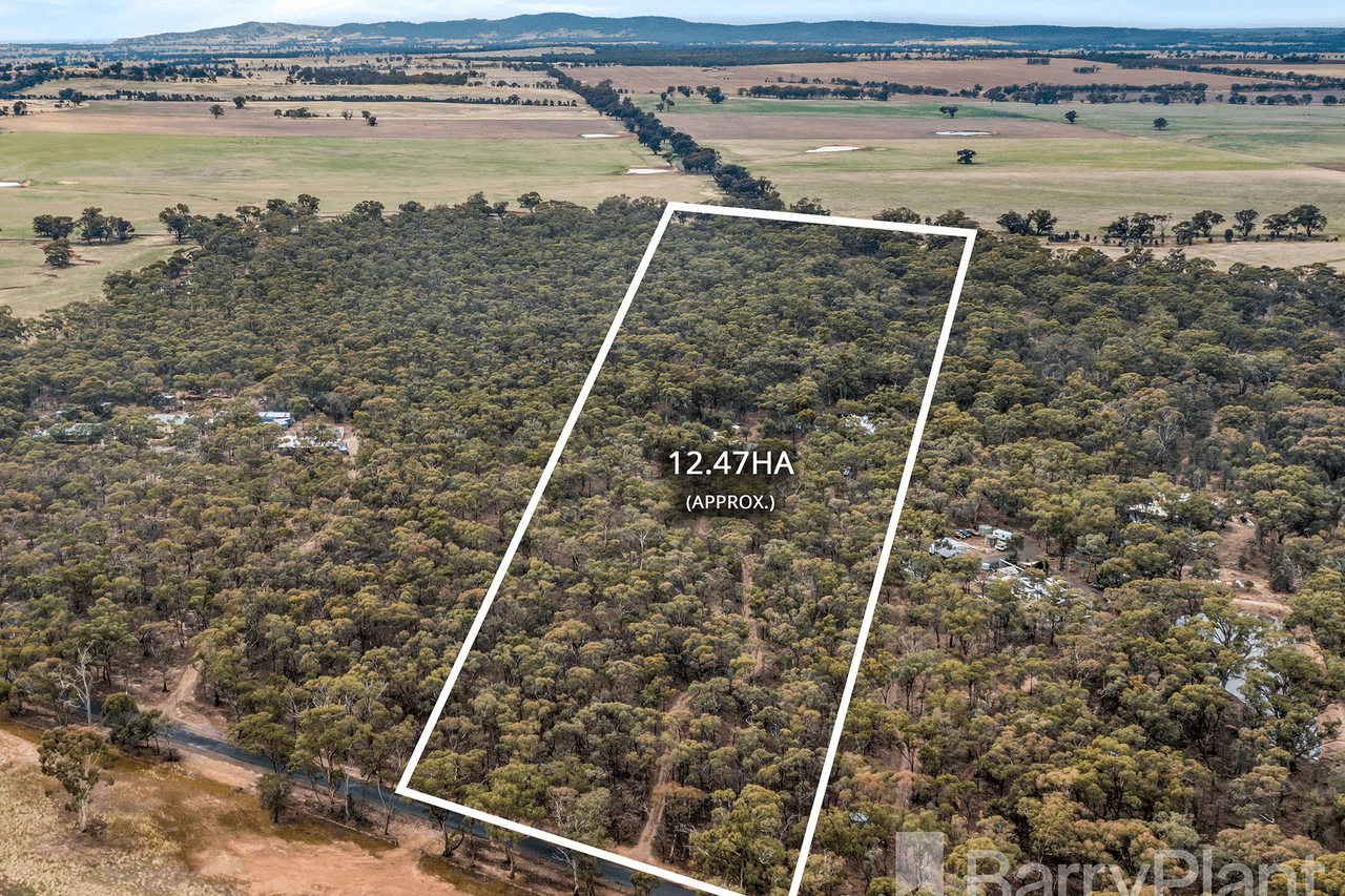 102 Bealiba South Road, Dunluce, VIC 3472