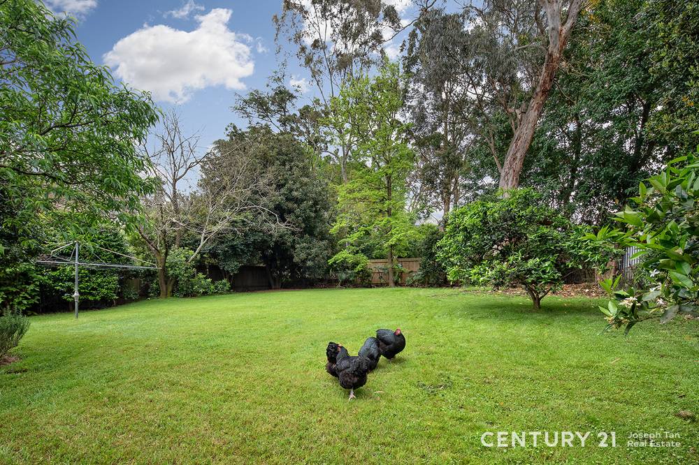 41 Copeland Road, Beecroft, NSW 2119
