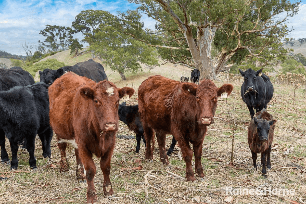 Retreat Valley Road, GUMERACHA, SA 5233