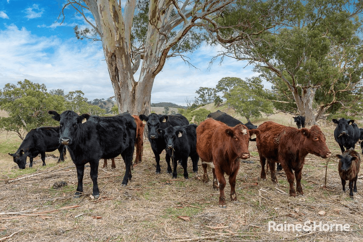 Retreat Valley Road, GUMERACHA, SA 5233