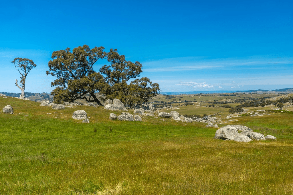 410 Tooborac-Baynton Rd, TOOBORAC, VIC 3522