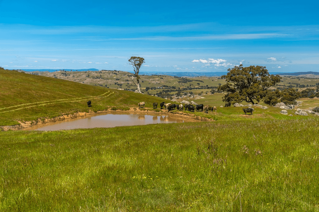 410 Tooborac-Baynton Rd, TOOBORAC, VIC 3522