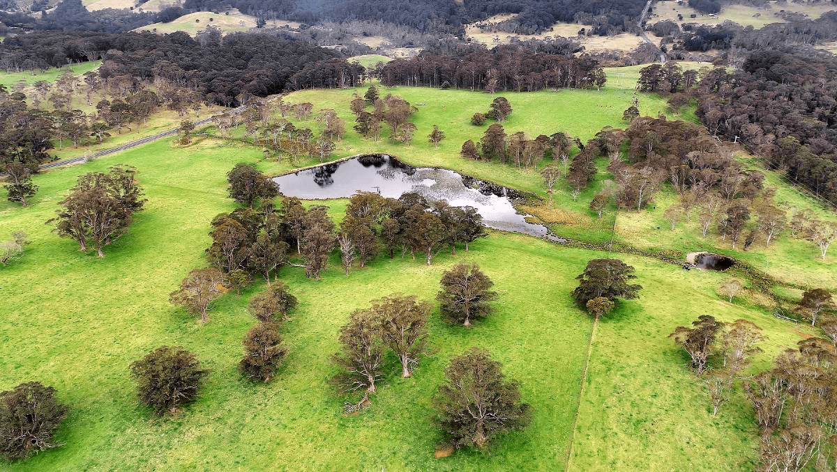 14 Caladenia Street, Teesdale, VIC 3328