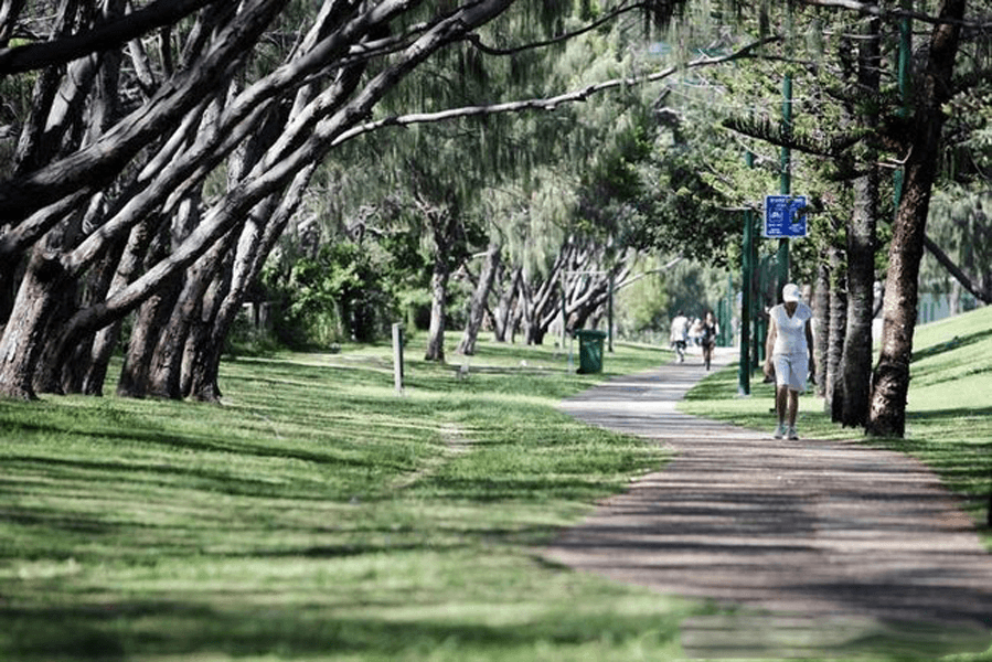 Level 10/1004/1005/42 Surf Parade, Broadbeach, QLD 4218