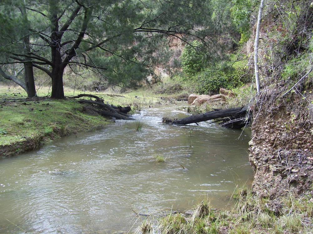 95 Smiths Creek Road, Lower Creek, NSW 2440