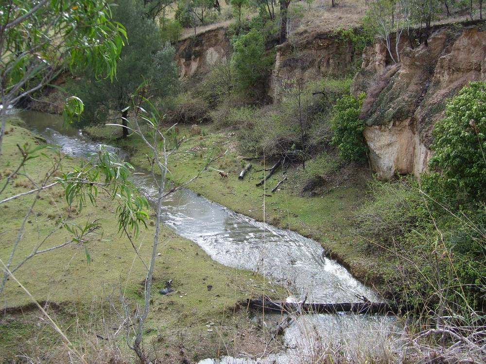 95 Smiths Creek Road, Lower Creek, NSW 2440