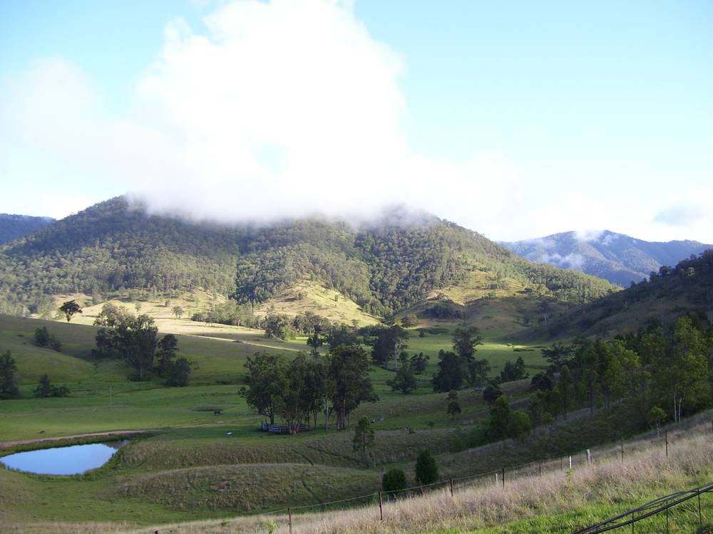 95 Smiths Creek Road, Lower Creek, NSW 2440
