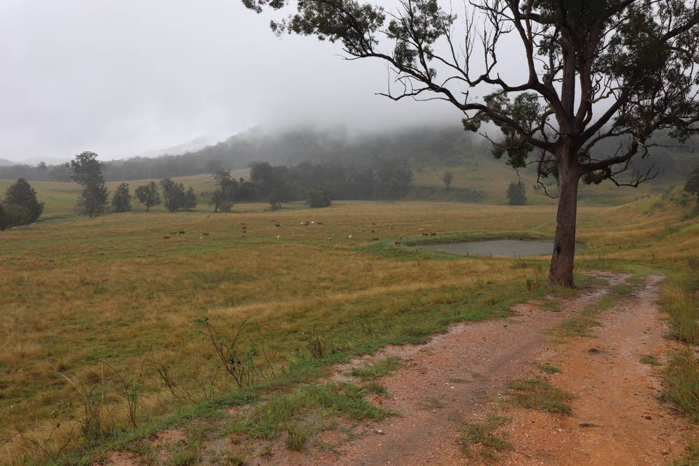 95 Smiths Creek Road, Lower Creek, NSW 2440