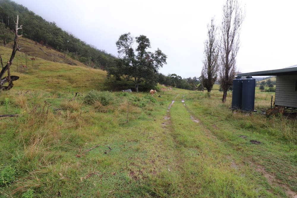 95 Smiths Creek Road, Lower Creek, NSW 2440